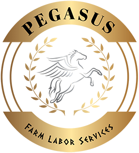 Pegasus Farm Labor